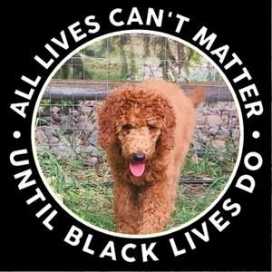 Meet your Posher, Maggie